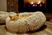 Luxury heated cat bed