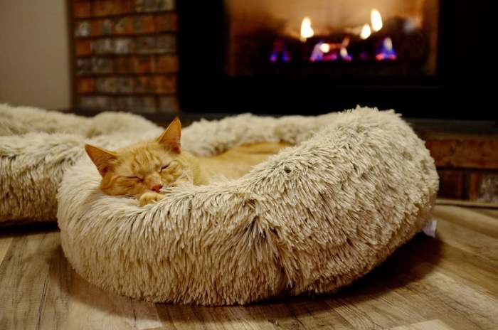 Luxury heated cat bed