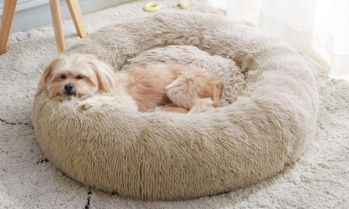 Anti-anxiety luxury pet bed