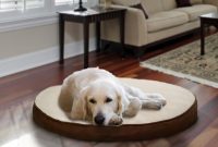 Therapeutic orthopedic pet mattress