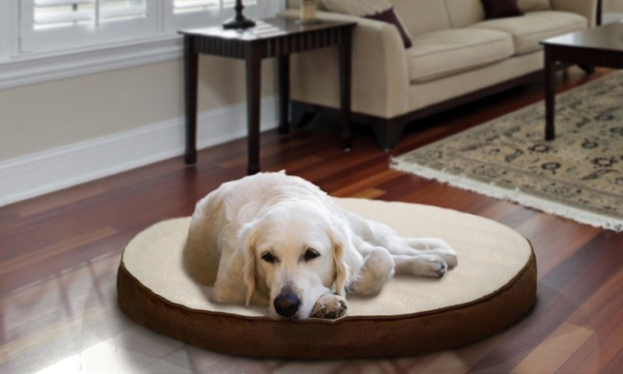 Therapeutic orthopedic pet mattress